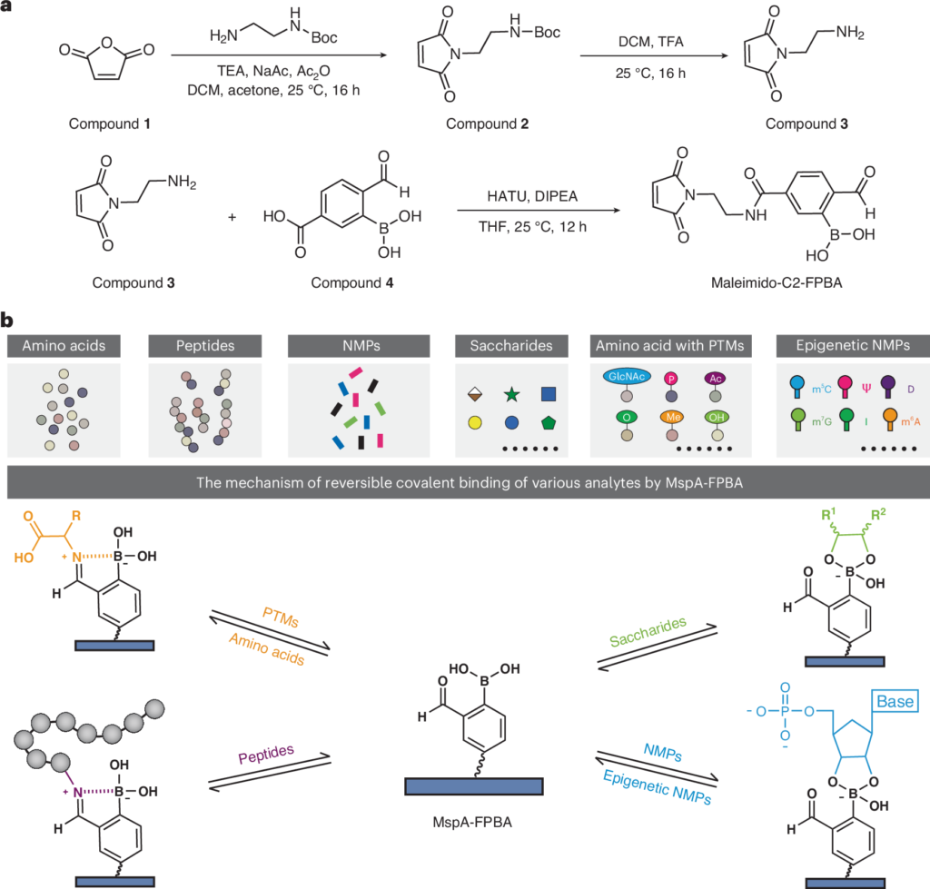 One engineered nanopore identified four families of molecules in a physical laboratory test