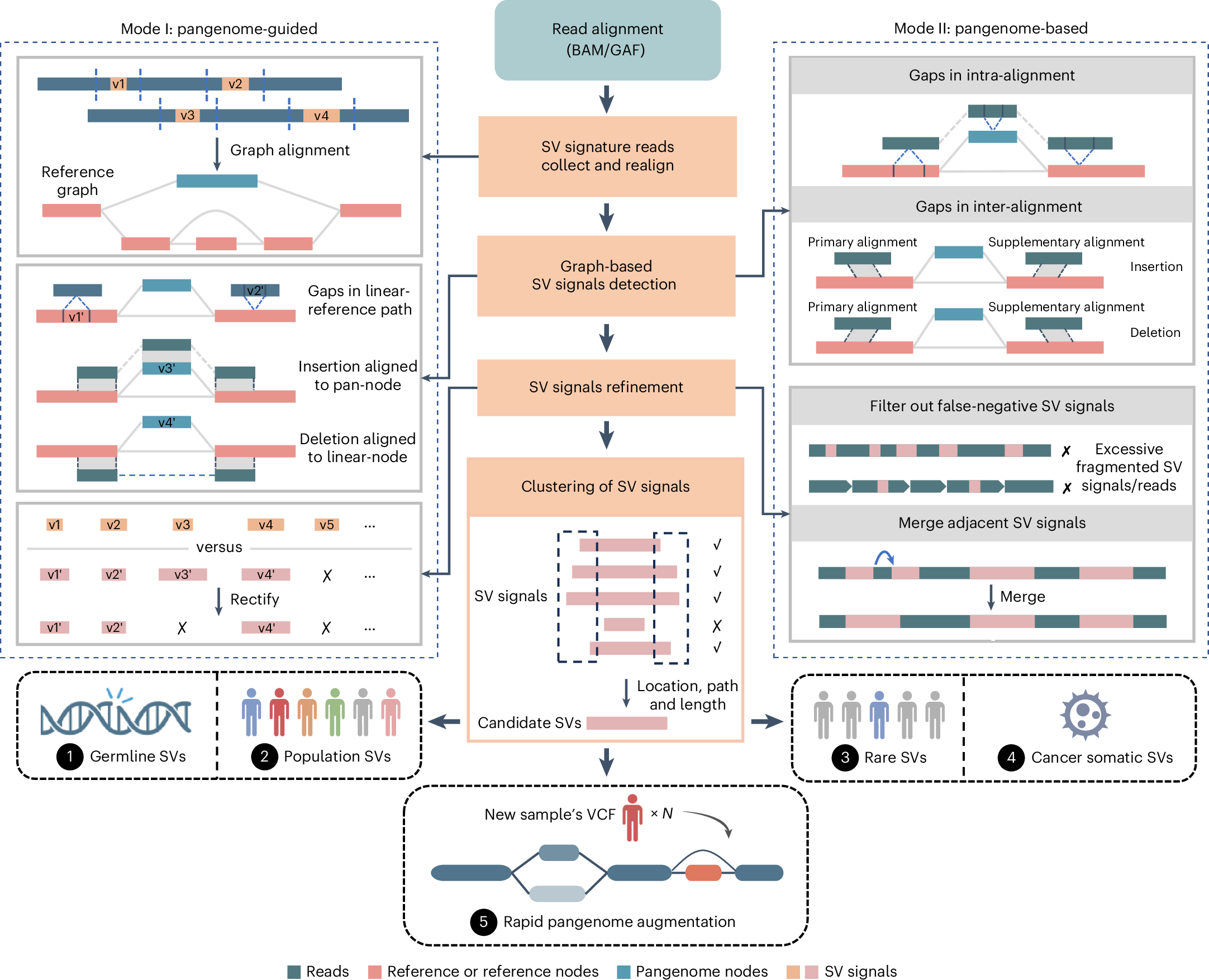 Pangenome software improves large DNA variant detection and makes graph updates faster