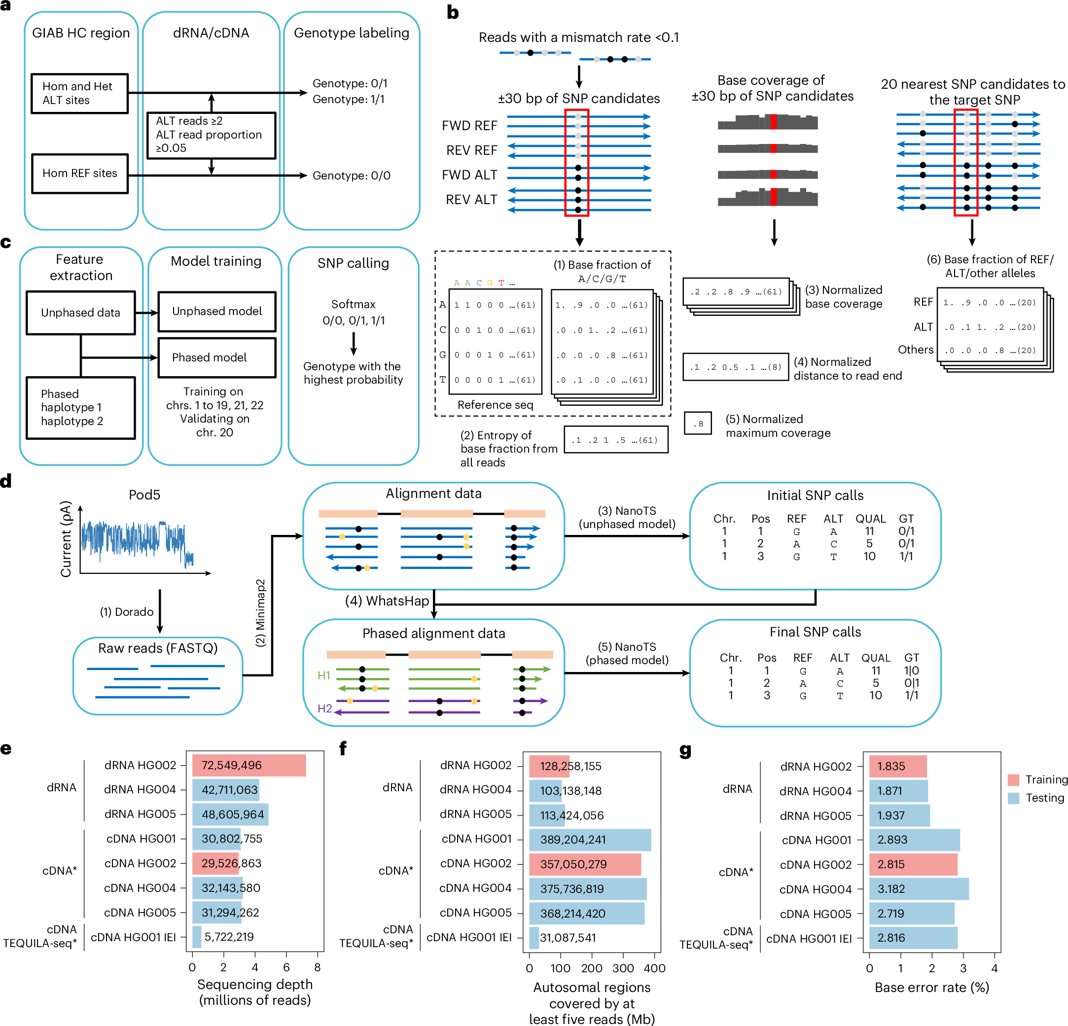 New tool calls genetic variants from long RNA reads, including patient-derived cells